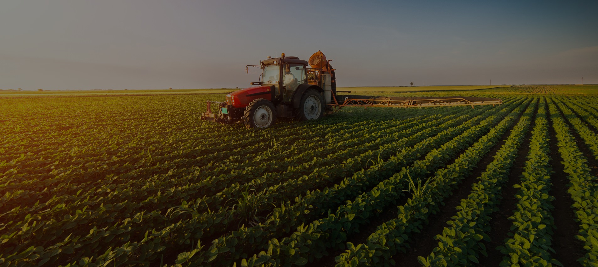 Agro-processing — crop farming